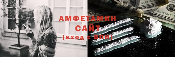 стаф Верея