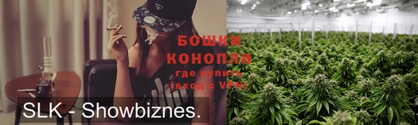 стаф Верея