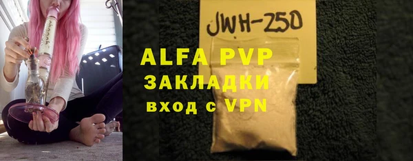 стаф Верея