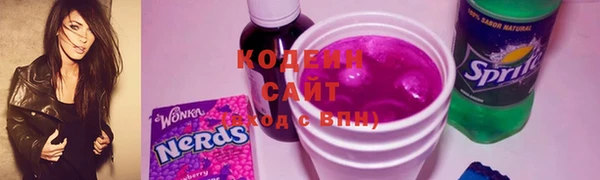 стаф Верея