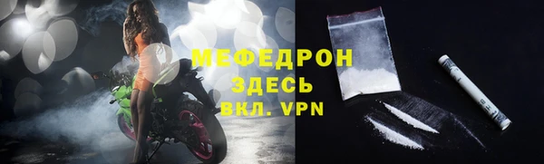 стаф Верея