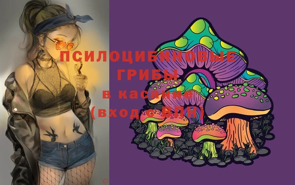 стаф Верея