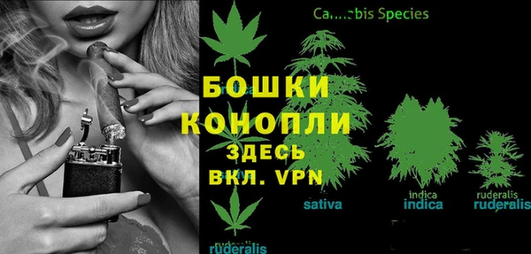 стаф Верея