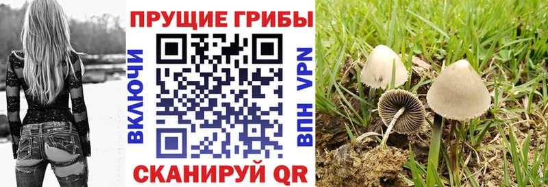 Галлюциногенные грибы Psilocybine cubensis  Игра 